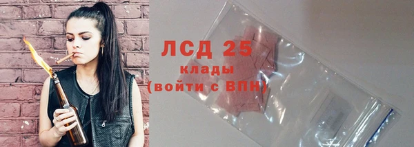 гашик Верея