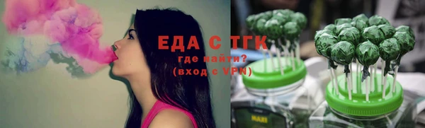 гашик Верея