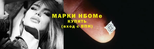 гашик Верея