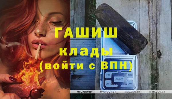 гашик Верея