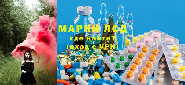 гашик Верея