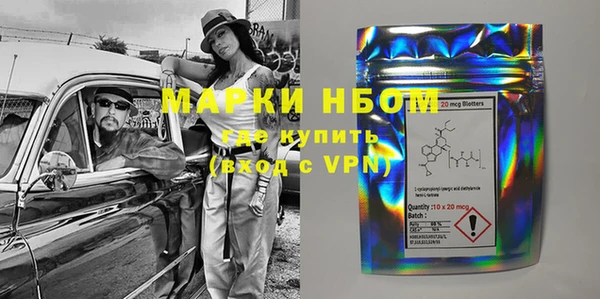 гашик Верея