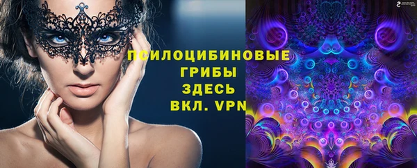 гашик Верея