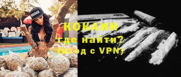 гашик Верея