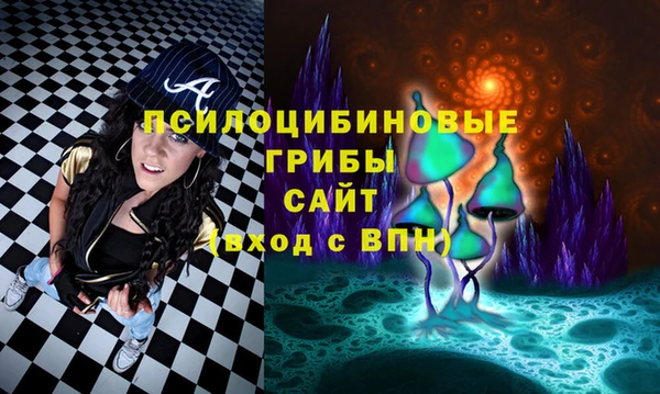 гашик Верея
