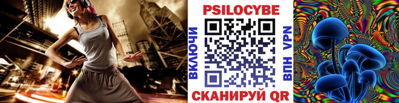 Купить Волчанск Псилоцибиновые грибы GOLDEN TEACHER